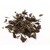 Ceylon White Leafy Herbata biała cejlońska